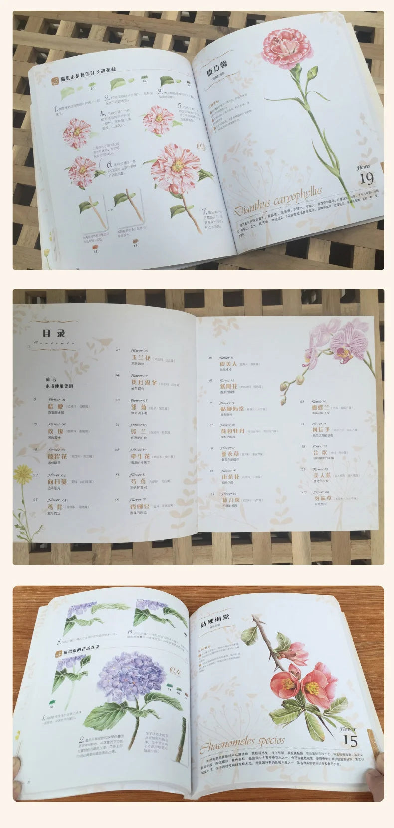The Natural Beauty Of Flowers Painting Watercolor Color Pencil Textbook Rose, Peony, Daisy Chinese Pencil Drawing Book