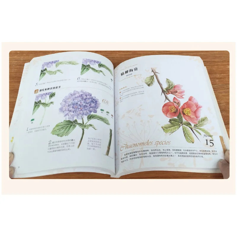 The Natural Beauty Of Flowers Painting Watercolor Color Pencil Textbook Rose, Peony, Daisy Chinese Pencil Drawing Book