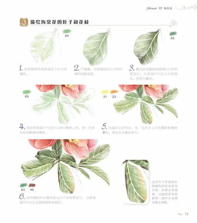 The Natural Beauty Of Flowers Painting Watercolor Color Pencil Textbook Rose, Peony, Daisy Chinese Pencil Drawing Book
