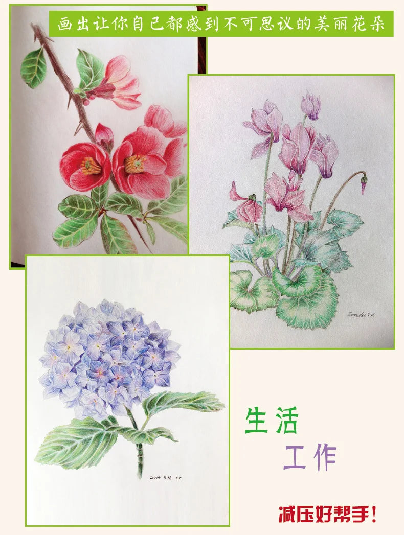 The Natural Beauty Of Flowers Painting Watercolor Color Pencil Textbook Rose, Peony, Daisy Chinese Pencil Drawing Book