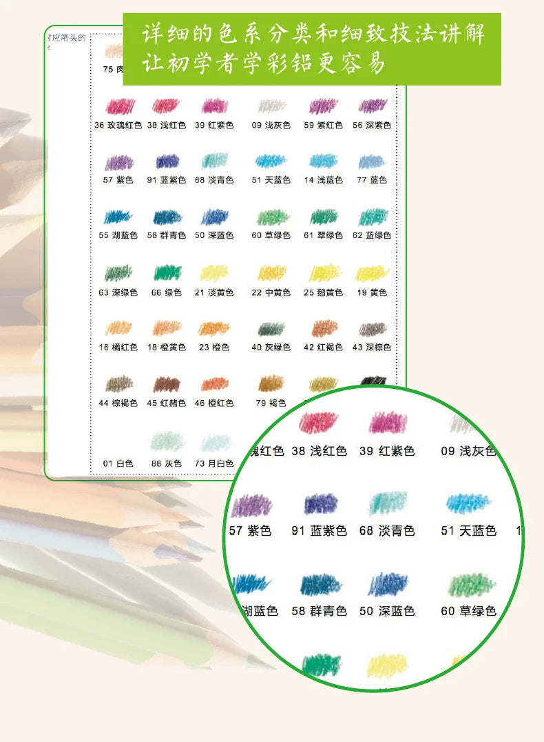 The Natural Beauty Of Flowers Painting Watercolor Color Pencil Textbook Rose, Peony, Daisy Chinese Pencil Drawing Book