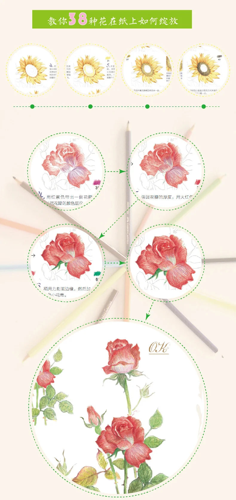 The Natural Beauty Of Flowers Painting Watercolor Color Pencil Textbook Rose, Peony, Daisy Chinese Pencil Drawing Book