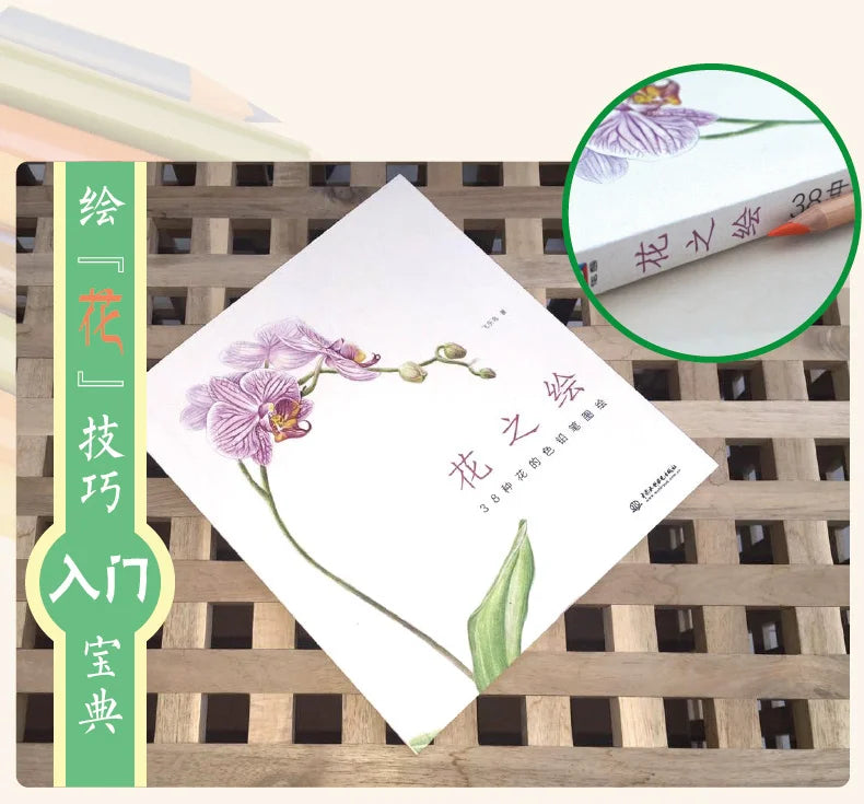 The Natural Beauty Of Flowers Painting Watercolor Color Pencil Textbook Rose, Peony, Daisy Chinese Pencil Drawing Book