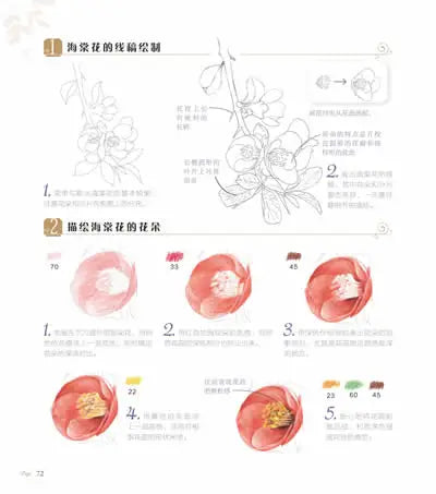 The Natural Beauty Of Flowers Painting Watercolor Color Pencil Textbook Rose, Peony, Daisy Chinese Pencil Drawing Book