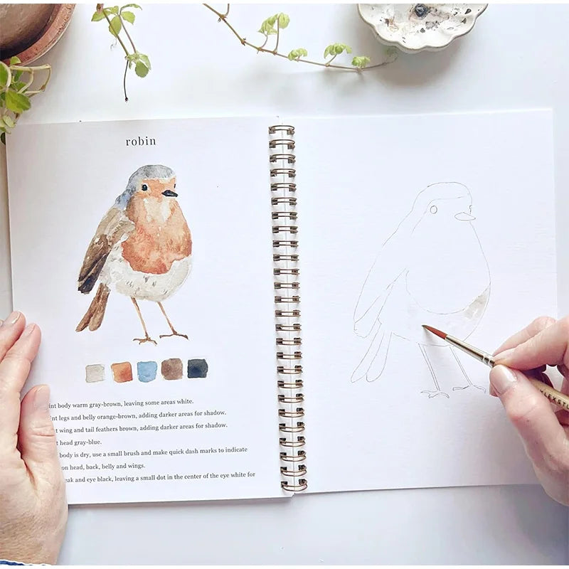 12 Colors Watercolor Paint Set With Paint Brush Art Crafts Painting Supplies Beginner-friendly Watercolor Workbooks Kids Adults