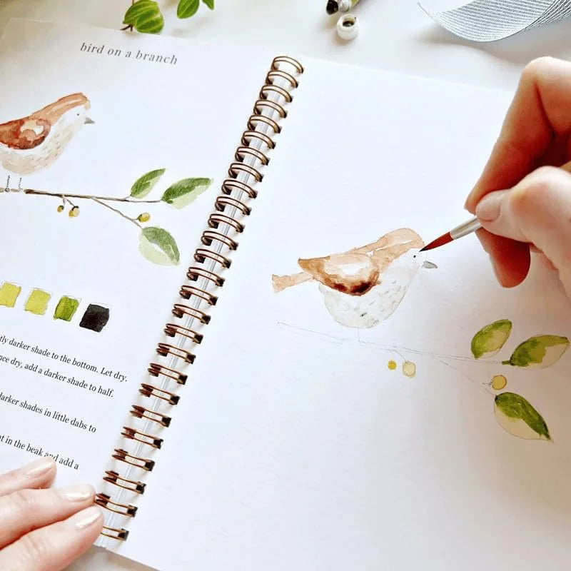 12 Colors Watercolor Paint Set With Paint Brush Art Crafts Painting Supplies Beginner-friendly Watercolor Workbooks Kids Adults